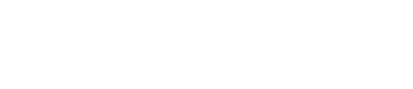 PROFESSIONAL SERIES